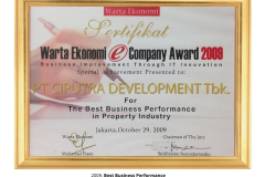 2009-best_business_performance